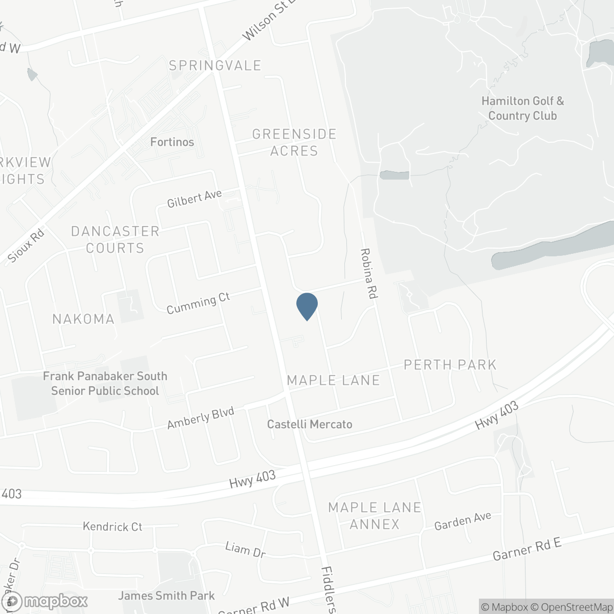 284 MAPLEDENE Drive, Ancaster, Ontario L9G 2K2